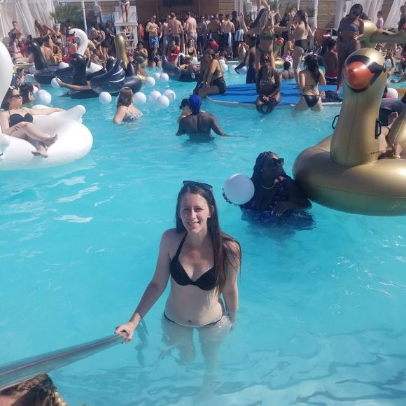 Meet your Posher, Sam - Picture 1 of 1